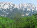 Piatra Craiului